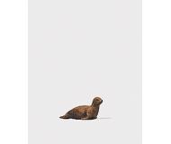 модель PREISER 29518 модель PREISER 29518